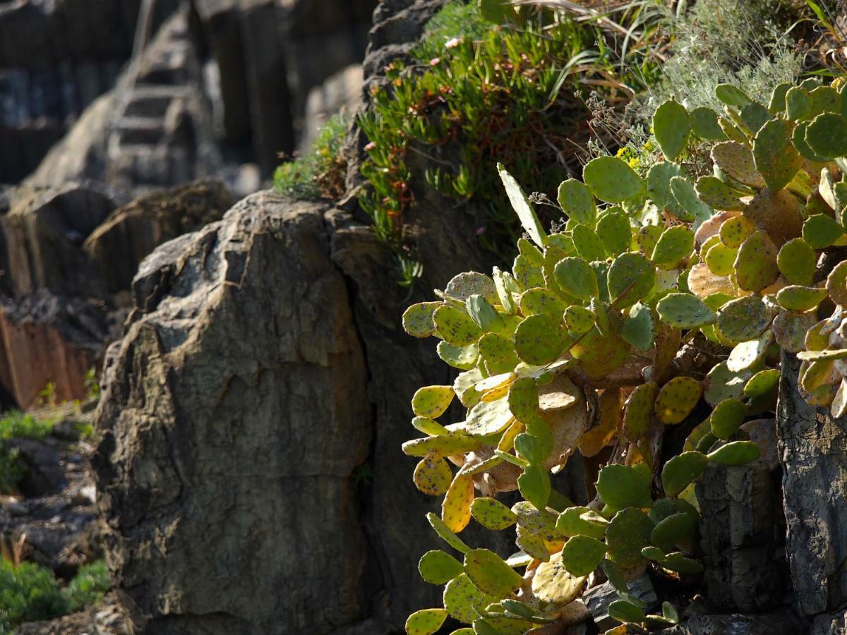 Agave Room Rental Riomaggiore Exterior foto